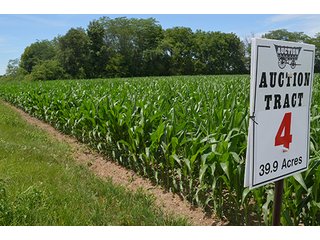 Property photo 111 - LAND AUCTION - 215+/- ACRES OFFERED IN 6 TRACTS IN VAN WERT COUNTY, OHIO